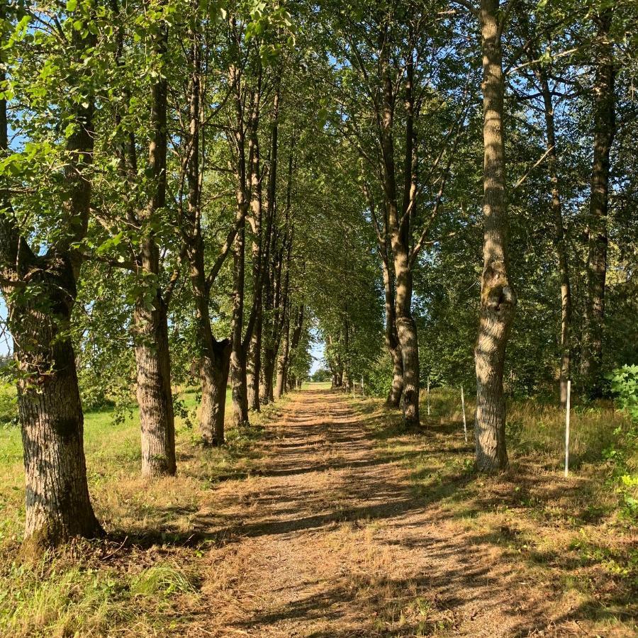 Blankenfeldes Muiza Hotell Tērvete Eksteriør bilde